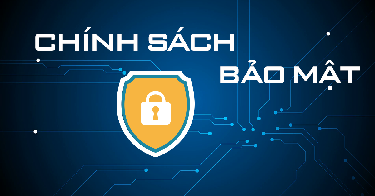 Khám phá trinhf bayf và những bí mật về trinhf bayf chưa ai tiết lộ