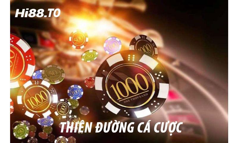 Tin bóng đá MU hôm nay cập nhật mới nhất về tin bóng đá MU